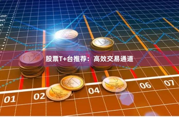 股票T+台推荐：高效交易通道