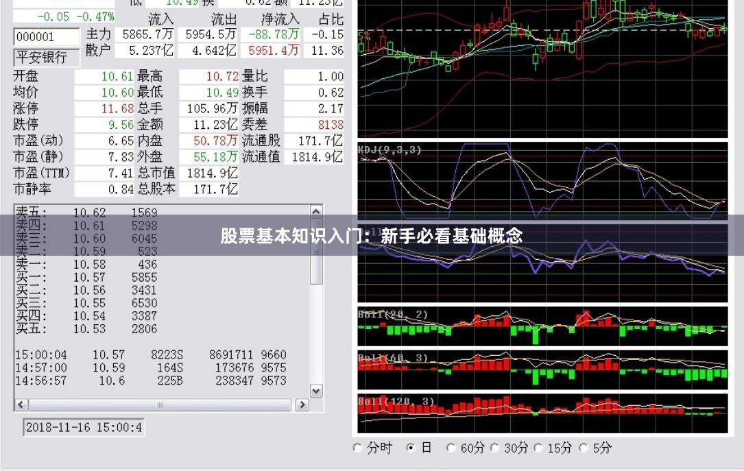 股票基本知识入门：新手必看基础概念